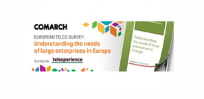 European Survey: Understanding the needs of large enterprises in Europe