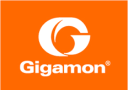 Expand services to high-value subscribers, create new revenues and de-risk new tech, says Gigamon