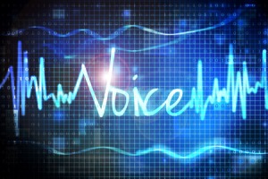 Voice impersonators can fool speaker recognition systems